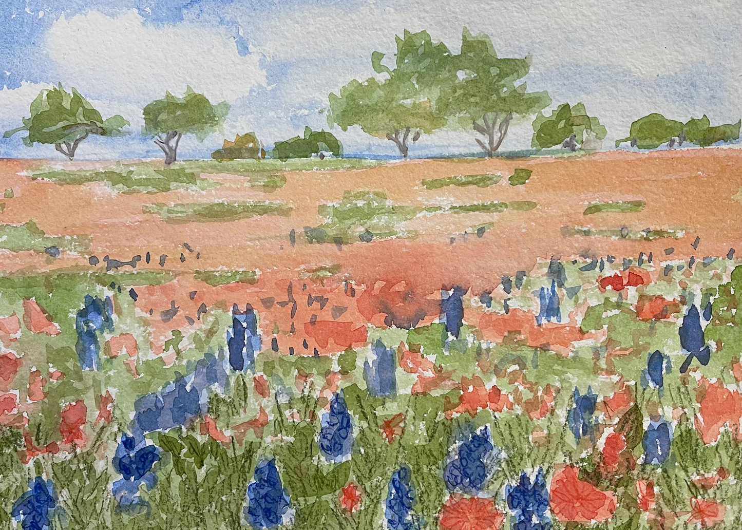 Bluebonnets and Paintbrushes